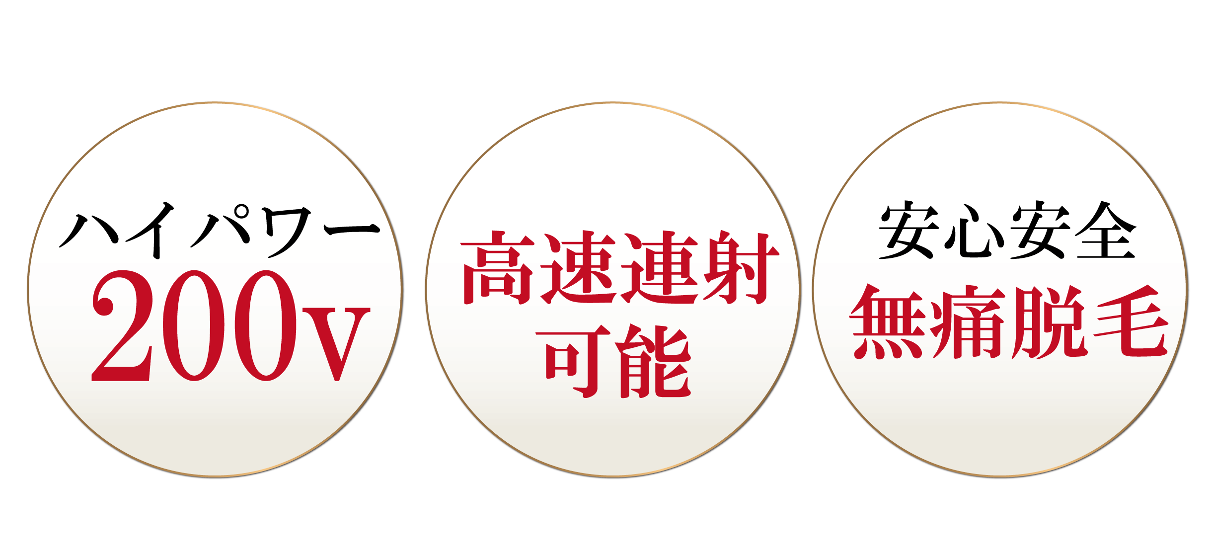 基本性能＋高機能 でサロンの大繁栄を支えるナンバーワン PEGASUS PRO 