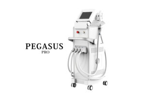 業務用脱毛機ペガサスプロ-PegasusPRO