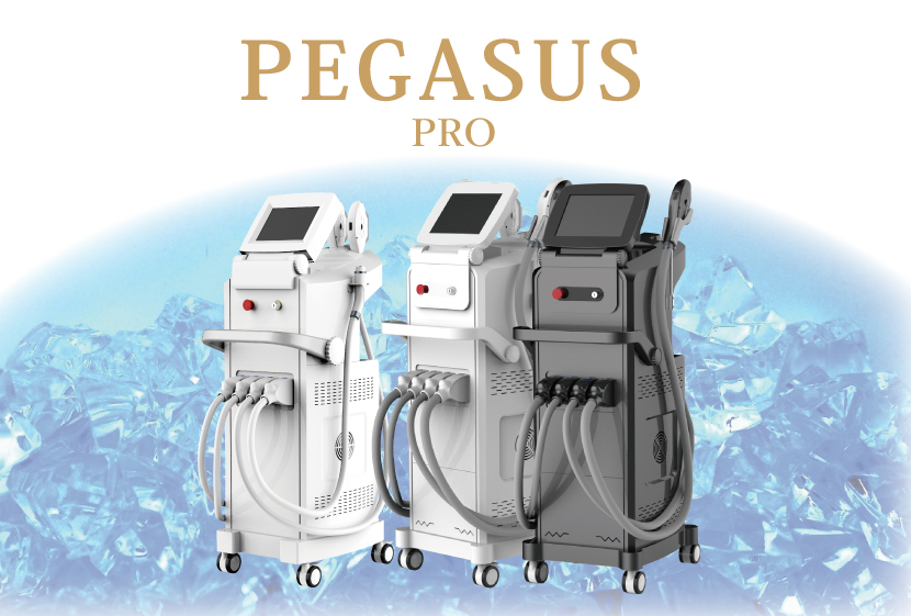 3つのハンドル装備で使い勝手を重視した業務用脱毛機PEGASUS2 | | 業務 