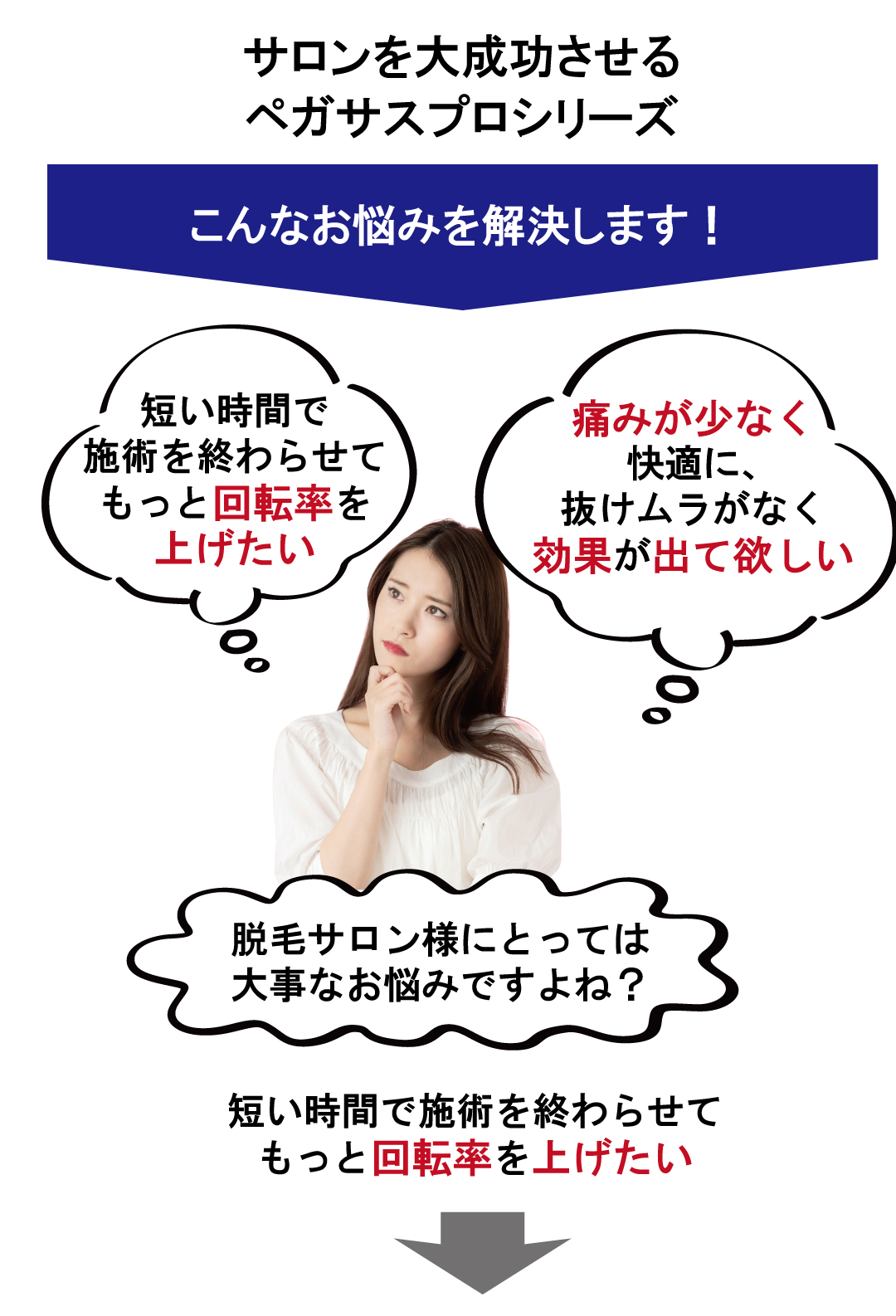 ペガサスプロプラスお悩み解決部分