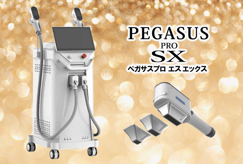 ペガサスプロX投稿画像-SXに変更