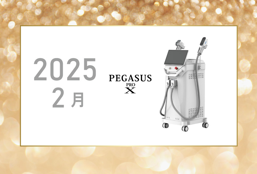常に進化し続けるPEGASUS PRO〜ペガサス9年の歩み〜2016年から2025年 