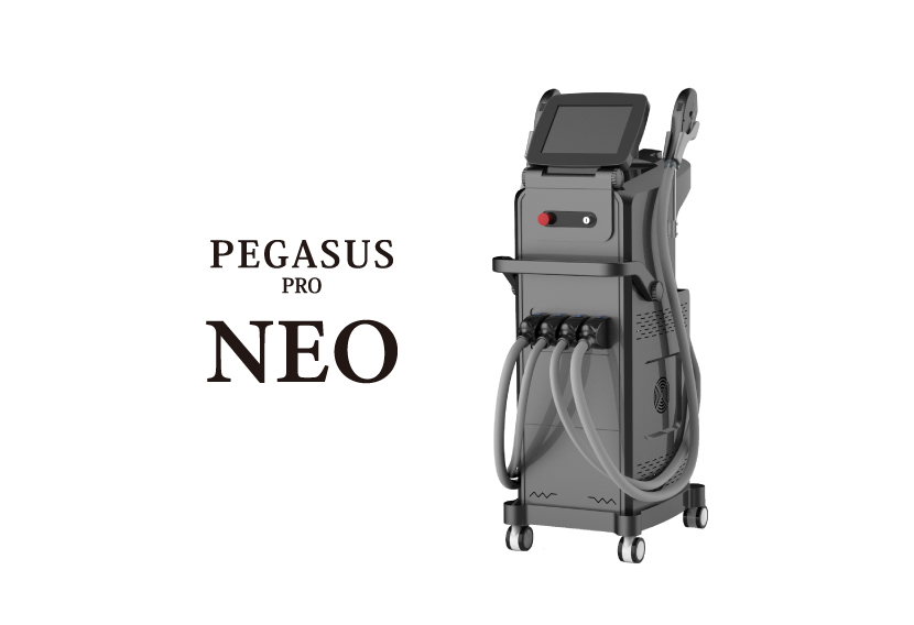 ペガサスプロNEO