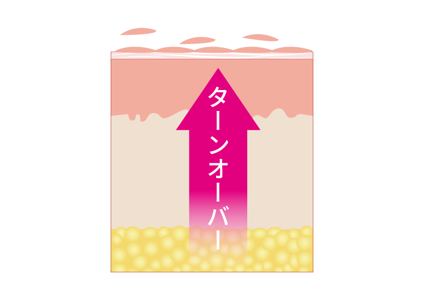 ターンオーバーを促進させる