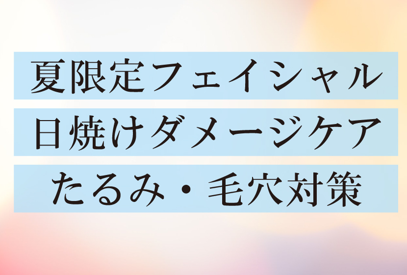 夏プラスメニューに