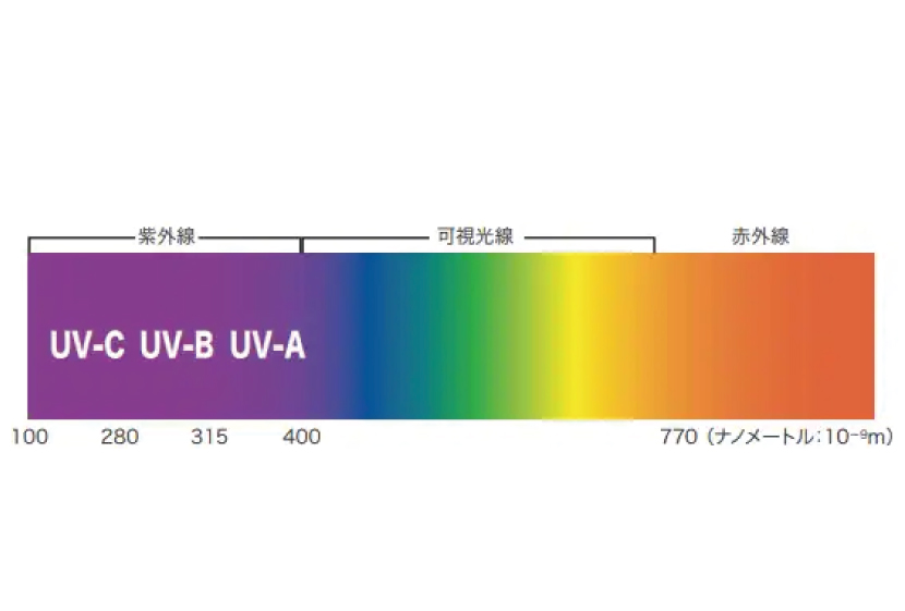 紫外線とは？