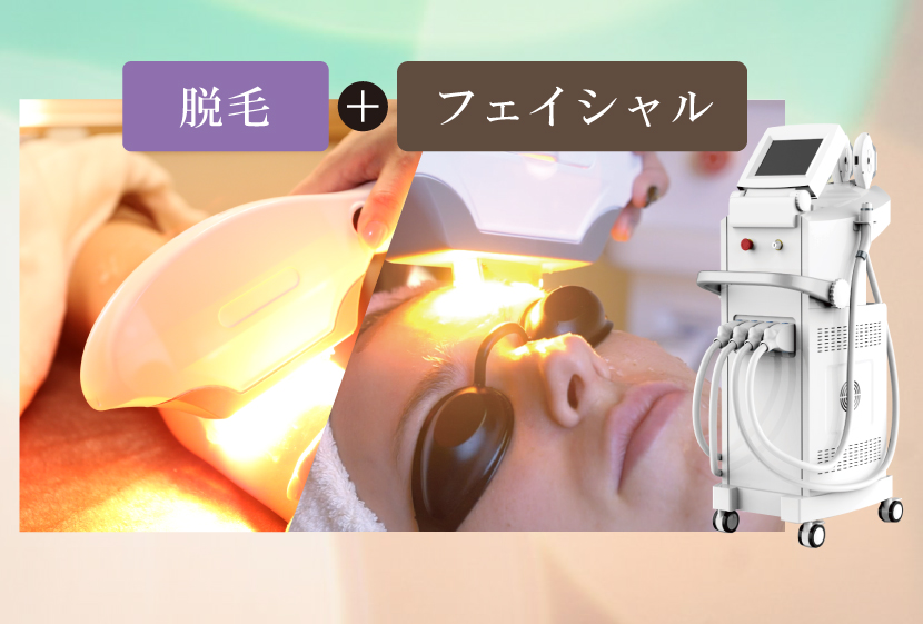 複合機ペガサスプロ