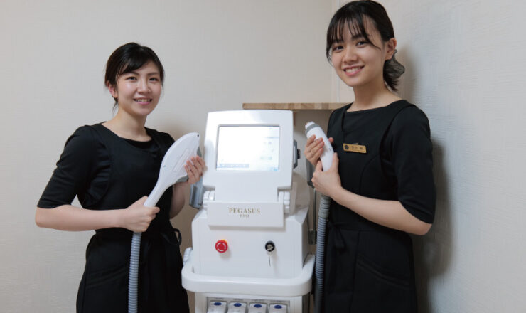 ペガサスプロ - 業務用脱毛機の株式会社富士美容機【公式】 
