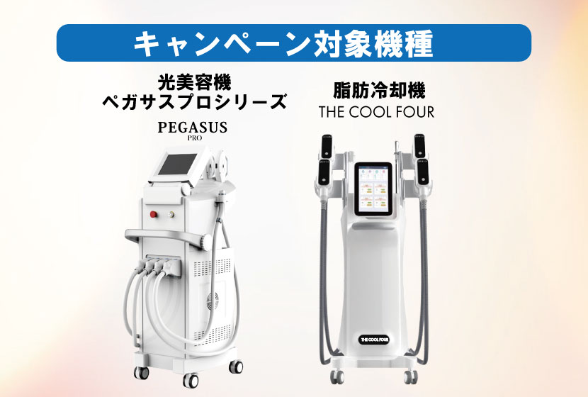 チラシ2万枚キャンペーン対象機種